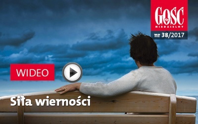 Zwiastun najnowszego „Gościa”