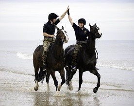 Królewski Regiment Konnej Artylerii w czasie ćwiczeń.