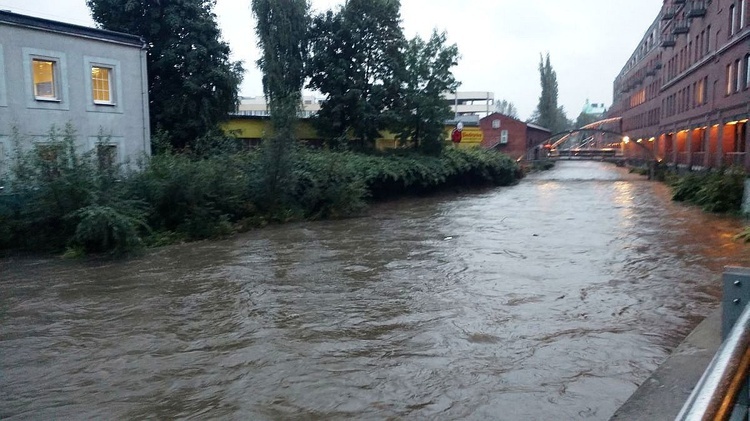 Białka przy CH "Sfera" w Bielsku-Białej 