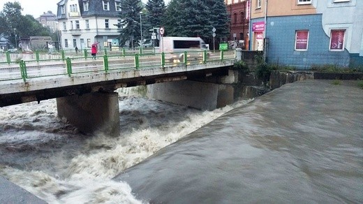 Białka przy CH "Sfera" w Bielsku-Białej 