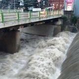 Białka przy CH "Sfera" w Bielsku-Białej 