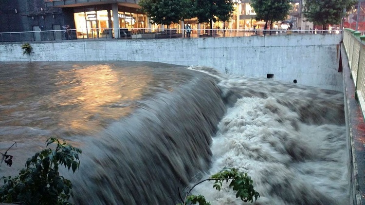 Białka przy CH "Sfera" w Bielsku-Białej 