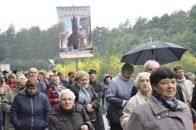 XIII Pielgrzymka Kół Żywego Różańca