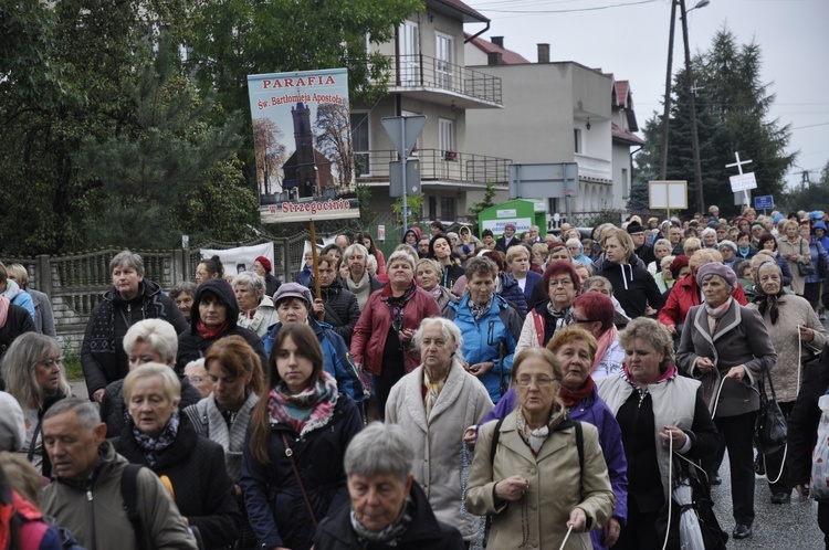 XIII Pielgrzymka Kół Żywego Różańca