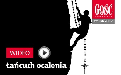 Zwiastun najnowszego „Gościa”