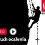 Zwiastun najnowszego „Gościa”