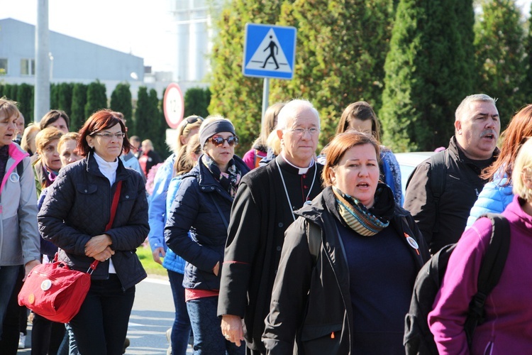 Pielgrzymka katechetów i nauczycieli