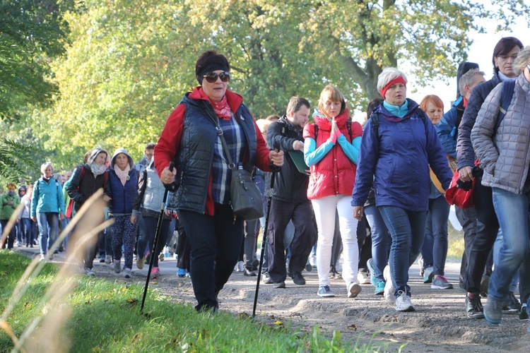 Pielgrzymka katechetów i nauczycieli