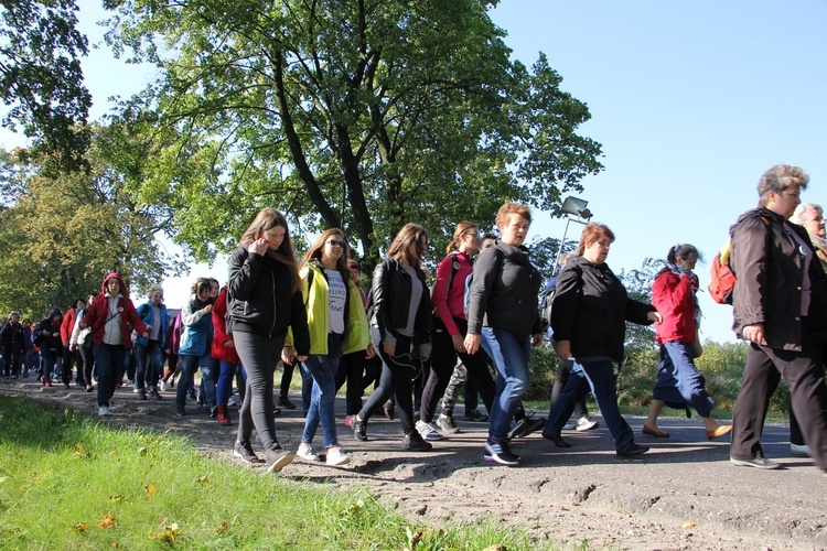 Pielgrzymka katechetów i nauczycieli