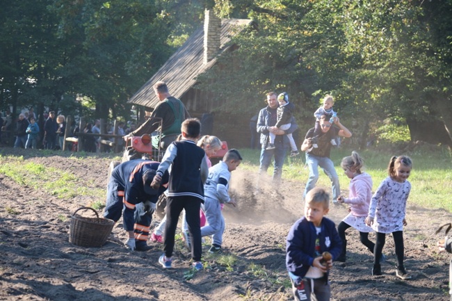 Festiwal Ziemniaka w skansenie