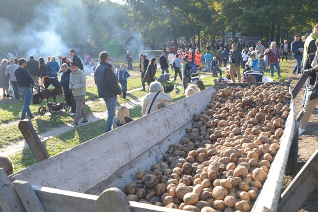 Festiwal Ziemniaka w skansenie