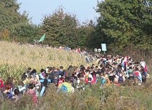 Spośród wszystkich duszpasterskich propozycji w ciągu roku pielgrzymka trzebnicka jest na pewno tą, która gromadzi najwięcej osób.