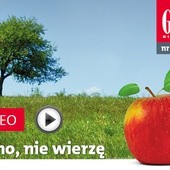 Zwiastun najnowszego „Gościa”