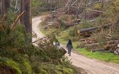 Z sąsiednich wsi do Orlika prowadzi leśna droga, która do niedawna służyła jako trasa Ekstremalnej Drogi Krzyżowej. Bardziej ekstremalna niż teraz być nie może.