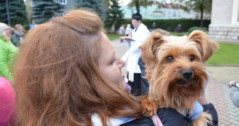 Żaden pupil księdza nie ugryzł 