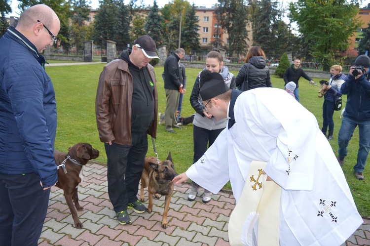 Nabożeństwo z udziałem zwierząt