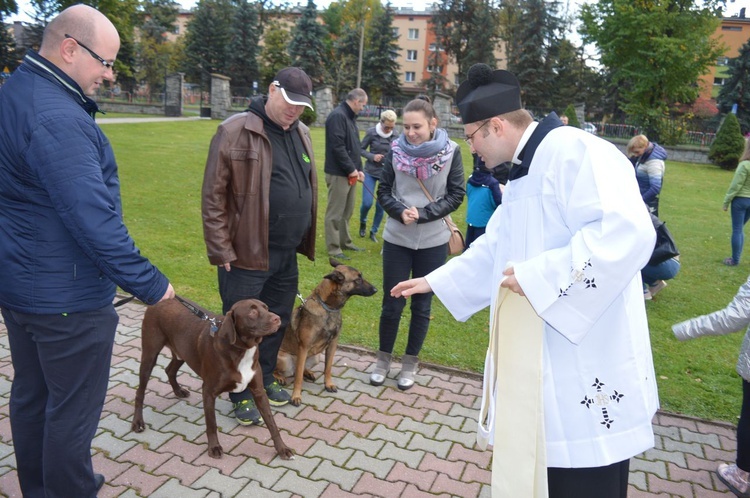 Nabożeństwo z udziałem zwierząt