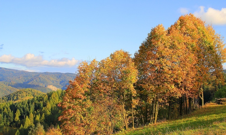 Piwniczna, Piwowarówka - Różaniec do Granic