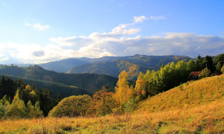 Piwniczna, Piwowarówka - Różaniec do Granic