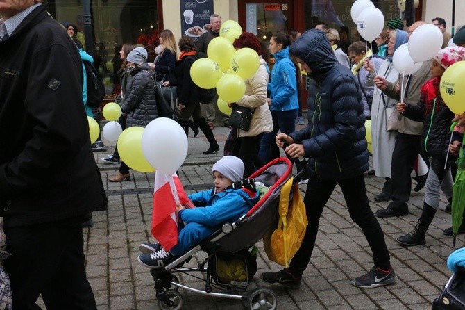 II Małopolski Marsz "Rodzinie i Życiu Tak!"