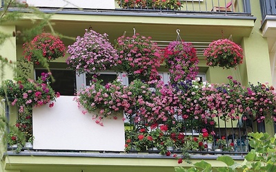 ▲	Balkon Zenony i Tadeusza Herdzików. 