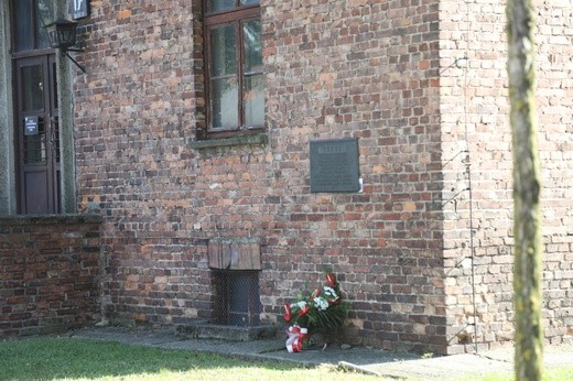 35-lecie kanonizacji św. Maksymiliana w Oświęcimiu