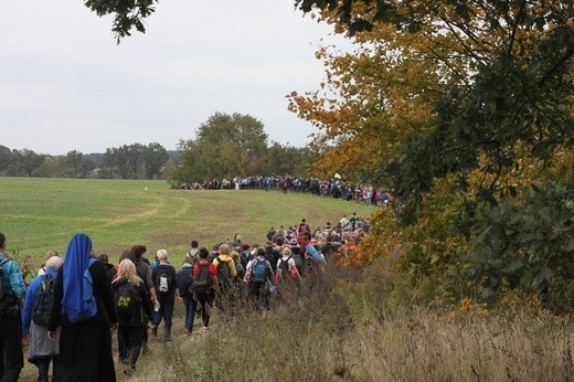 Pielgrzymka trzebnicka 2017 - cz. 16