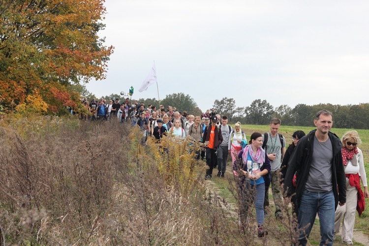 Pielgrzymka trzebnicka 2017 - cz. 16