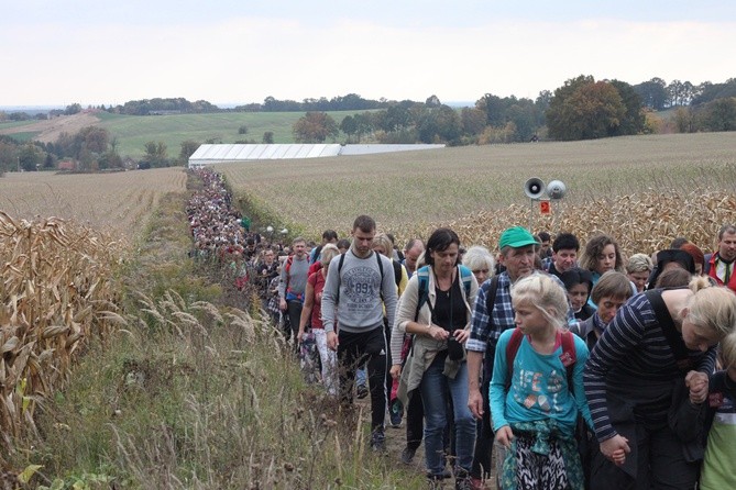 Pielgrzymka trzebnicka 2017 - cz. 16