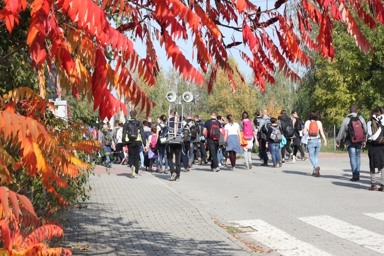 Pielgrzymka trzebnicka 2017 - cz. 16