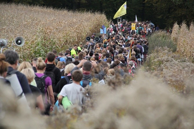 Pielgrzymka trzebnicka 2017 - cz. 10