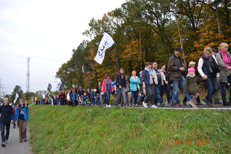 Pielgrzymka trzebnicka 2017 - cz. 11 (grupa z Obornik Śląskich)