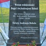 Św. Andrzej Bobola ze Śnietnicy