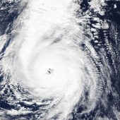 Irlandia: Ofiary śmiertelne podczas huraganu Ophelia