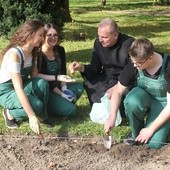 Ks. Robert Kowalski pomagał przy sadzeniu cebulek żonkili