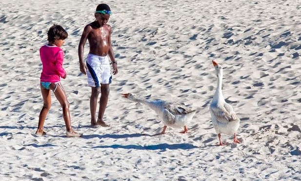 Plaża w Puerto Rico długo nie zobaczy turystów