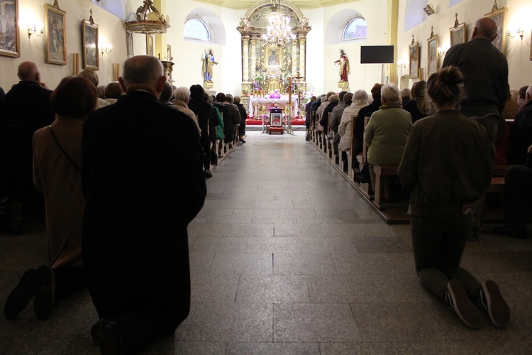 Eksporta. Parafia św. Katarzyny Aleksandryjskiej Kudowa-Zdój 