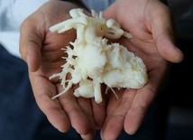 Serduszka 3D i wielkie serce 