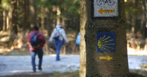 W drodze przez 11 lat