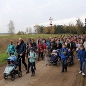 Piesza Pielgrzymka z Brzegu Dolnego do Łososiowic