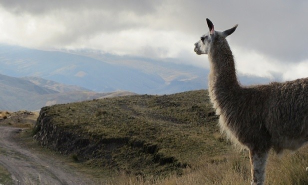W niedzielę okazja do wsparcia misjonarzy