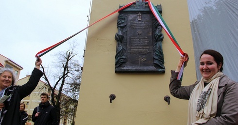 W Węgrach płynie polska krew