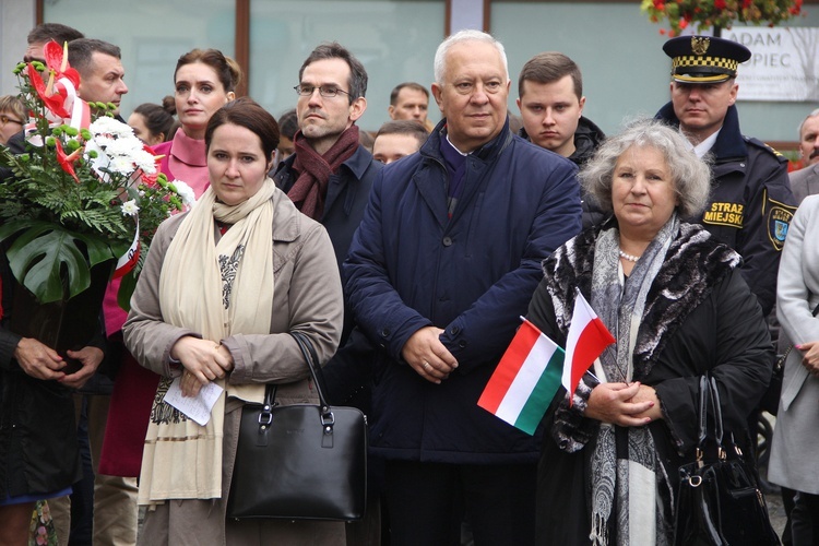 Odsłonięcie polsko-węgierskiej tablicy pamiątkowej