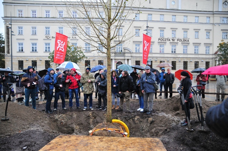 Nowy "Baobab" na placu Litewskim