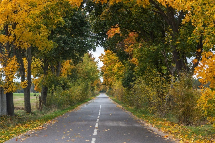 Droga na Ostrołękę, czyli polska kuchnia przydrożna