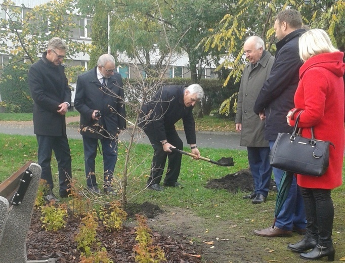 Pomnik Hipokratesa w Katowicach