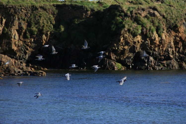 Connemara: tajemnice, cuda, radości