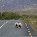 Connemara: tajemnice, cuda, radości