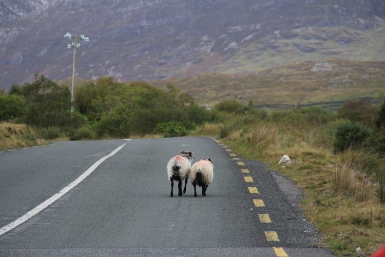 Connemara: tajemnice, cuda, radości