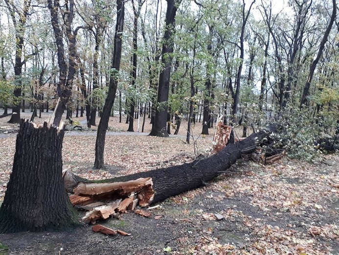 Zniszczenia spowodowane przez orkan Grzegorz